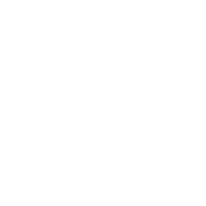 logotipo-caribe-support